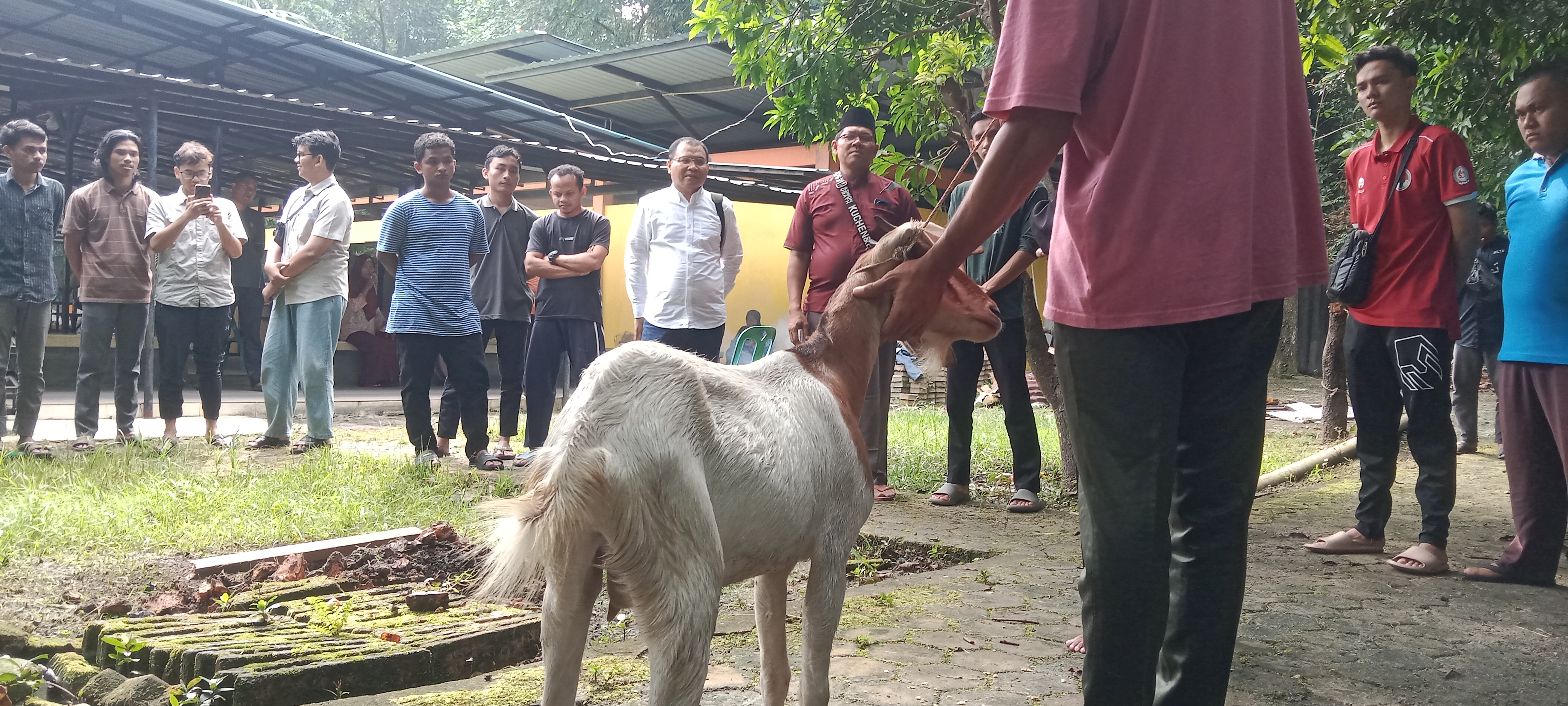 Pusat Studi Halal Unilak dan Pengurus Mesjida Al Fatah Latih Puluhan Mahasiswa Perguruan Tinggi di Indonesia Ikuti Pelatihan Penyembelih Halal Hewan