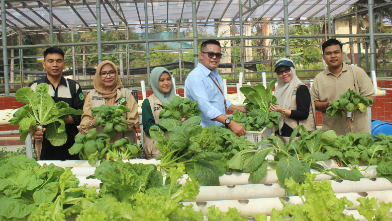 Produksi Tanaman Sayur yang Dikelola Veggie Fresh Faperta Unilak Siap Masuk ke Supermarket di Kota Pekanbaru