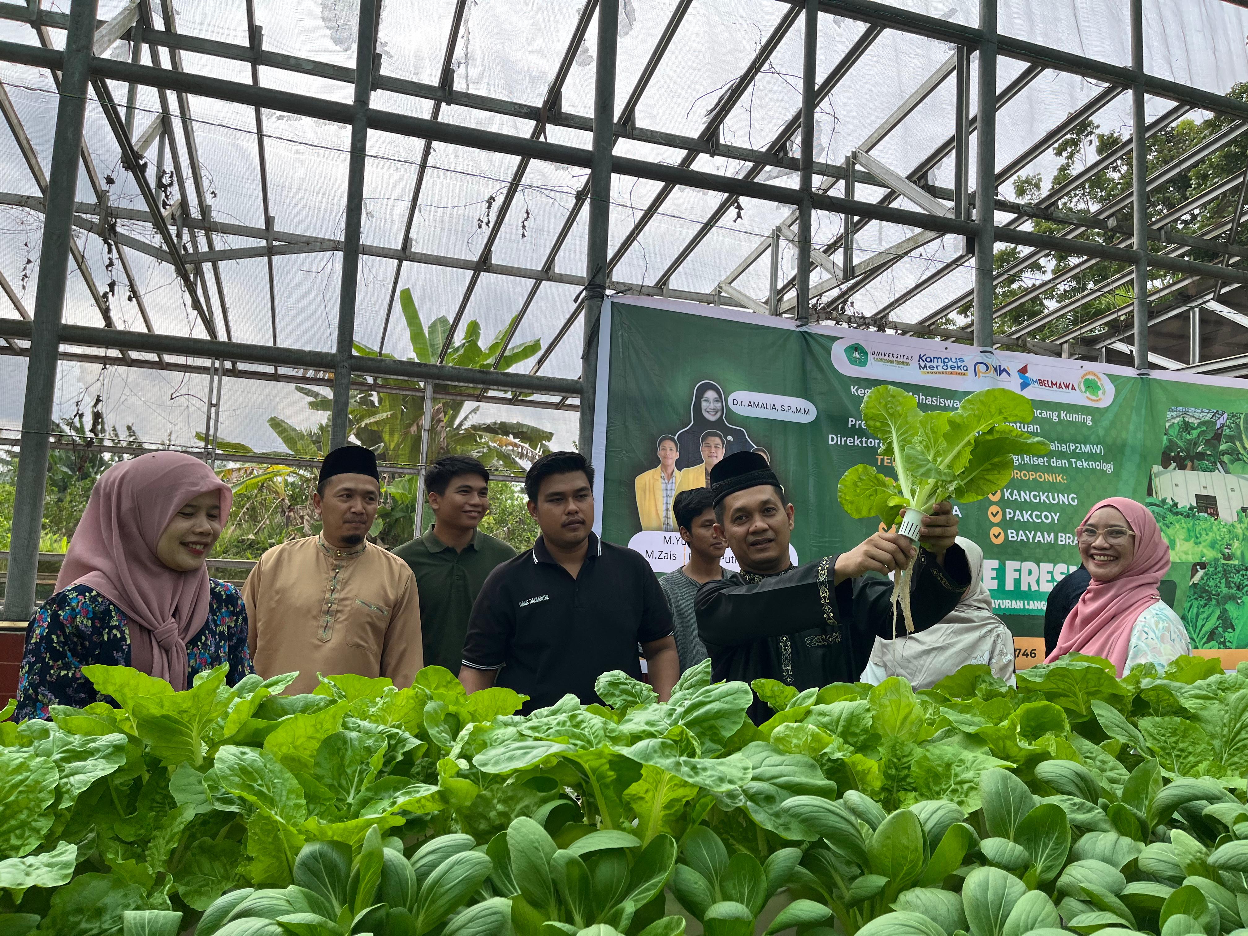 Dukung Swasembada Pangan Riau, Mahasiswa Fakultas Pertanian Unilak Panen Sayur Hydroponik